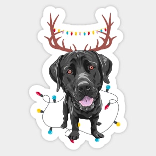 Labrador Retriever with Reindeer Ears and Christmas Lights Sticker